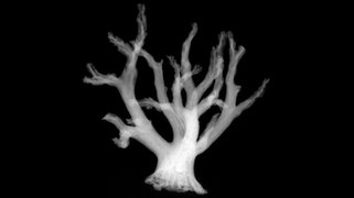 Design and Art in Sciences