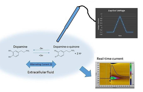 Détection Electrochimique