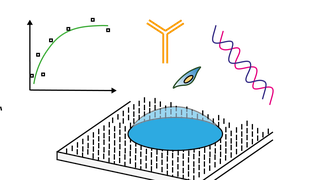 Sensing and Monitoring