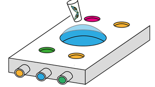 Microphysiological systems