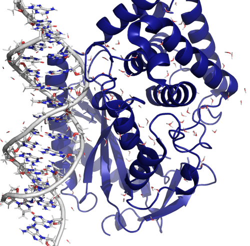 Figure_homepage_mbrut