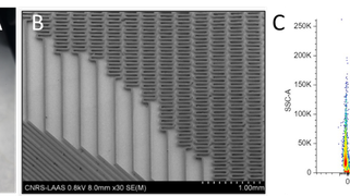 Cells and extracellular vesicles: Microfluidics for their purification and the analysis of their nucleic acid composition