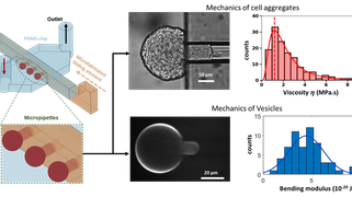 Mechanics of multicellular aggregates, and their interactions with nanoparticles