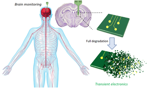 Implant Biodégradable