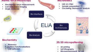 LAAS_CNRS_ELiAConcept