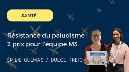 LaasCNRSPrixM3_PaludismeFR