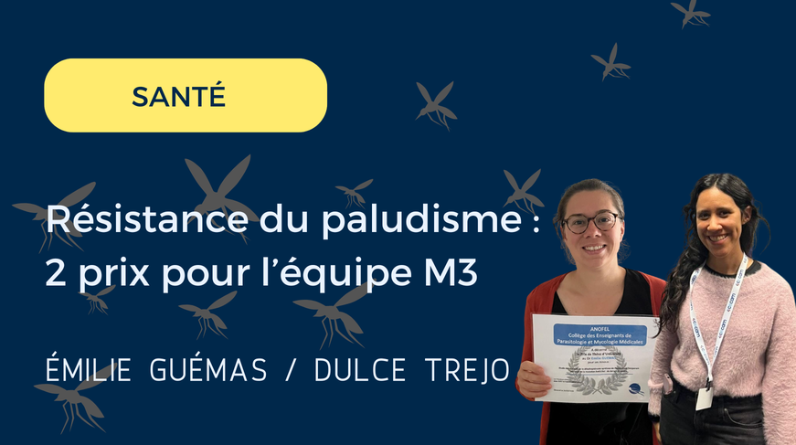 LaasCNRSPrixM3_PaludismeFR