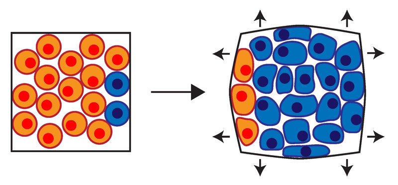 LaasCNRS_UnderPressure1_ERC-MorganDelarue