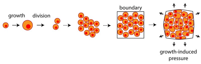 LaasCNRS_UnderPressure2_ERC-MorganDelarue