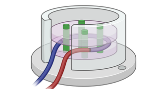 MEMS for Tissue Engineering