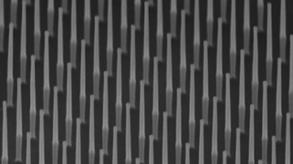 MPN pic (nanowires)