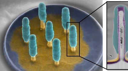 Nanoelectrodes_3D_MPN ©LAASCNRS