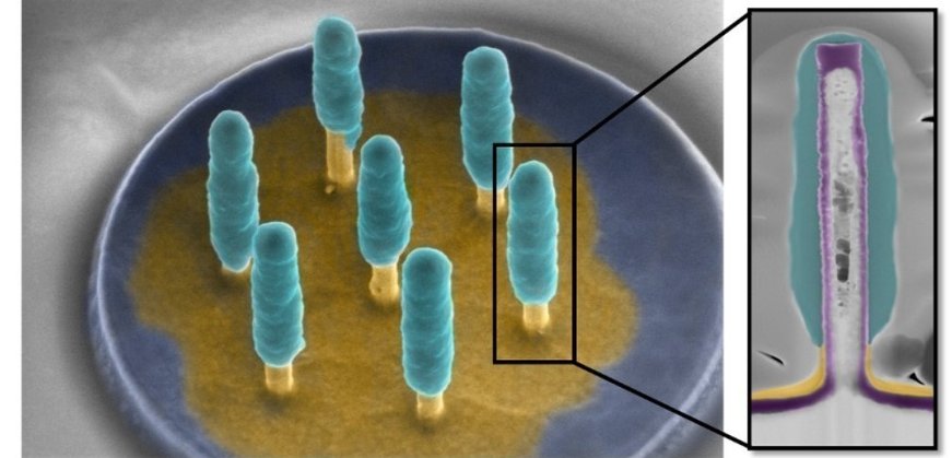 Nanoelectrodes_3D_MPN ©LAASCNRS