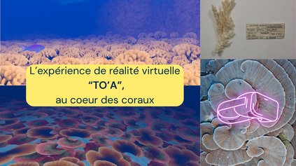Visuel TO'A- expérience de réalité virtuelle coraux