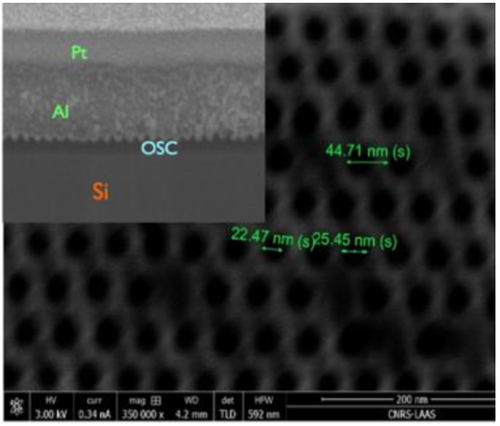 Images MEB de films minces OSC nano-structurés d'une épaisseur de 50 nm
