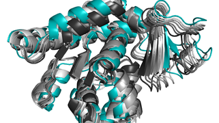 Structural Bioinformatics