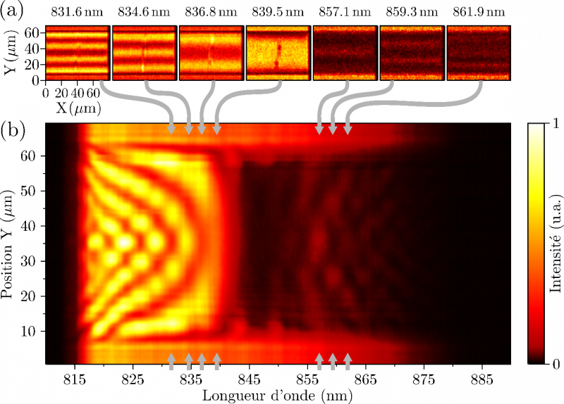(a) : image de la réflectivité du CRIGF (zone centrale uniquement) aux longueurs d’onde précisées. (b) image hyperspectrale de la réflectivité locale d’un CRIGF selon son axe de périodicité (coll. B. Cluzel, Univ. Dijon).